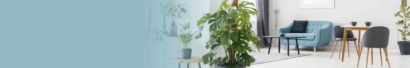 Innenleuchten - NOWA Lighting